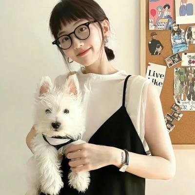 叔比狗:大闹幽灵海盗船